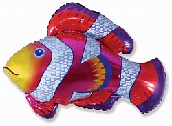 Рыба-клоун, 86 см Фуше